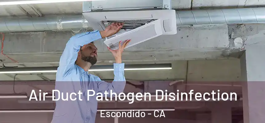 Air Duct Pathogen Disinfection Escondido - CA