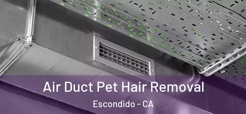  Air Duct Pet Hair Removal Escondido - CA
