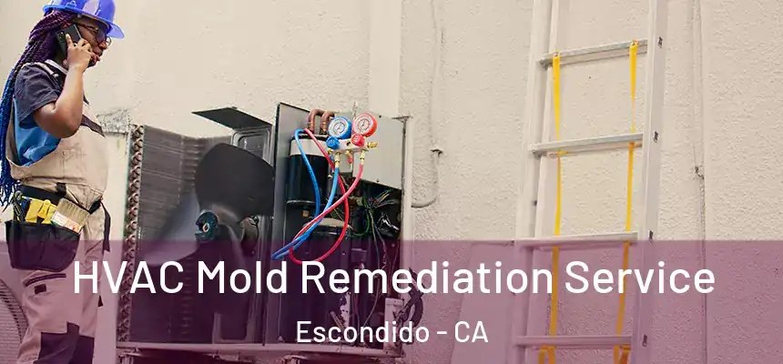  HVAC Mold Remediation Service Escondido - CA