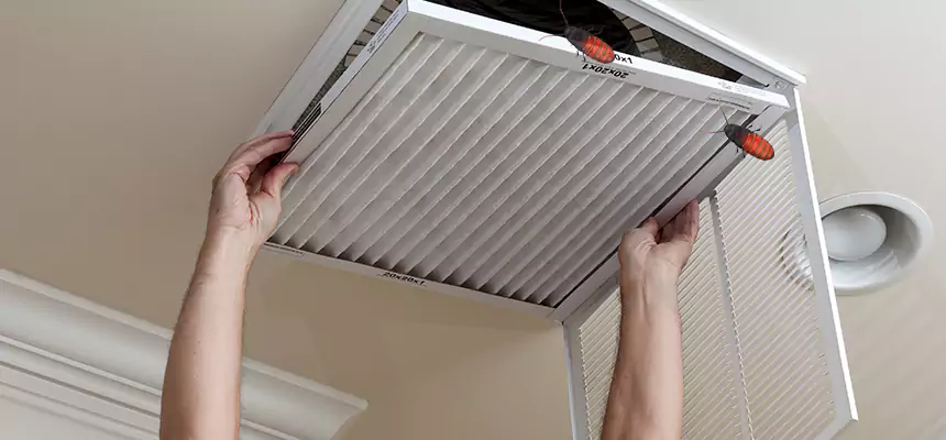 Preventive Cockroach-Proofing for Ducts in Escondido