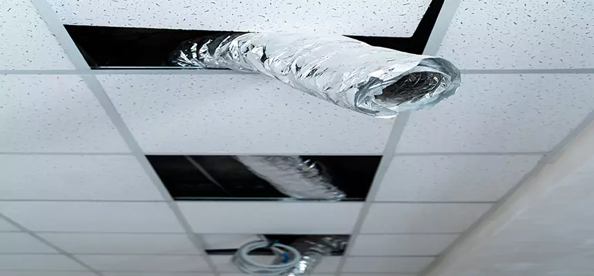 Our Air Duct Pet Hair Removal Services in Escondido, CA