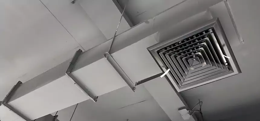 Our Rodent Droppings In Vents Services in Escondido, CA