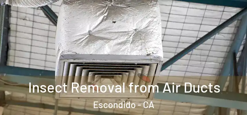 Insect Removal from Air Ducts Escondido - CA