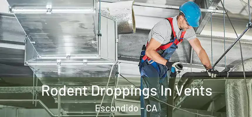  Rodent Droppings In Vents Escondido - CA