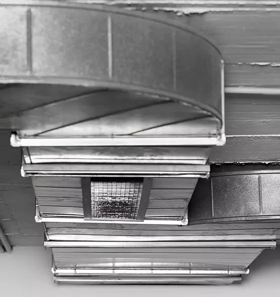 Professional Air Duct Pet Hair Removal in Escondido, CA