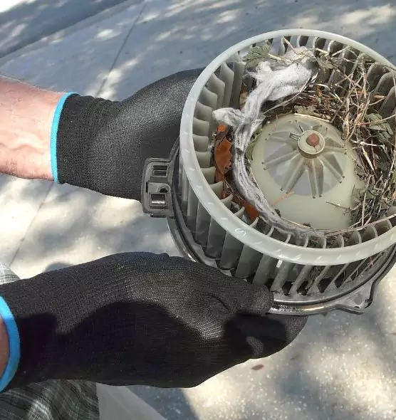 About Air Duct Rat Removal in Escondido, CA