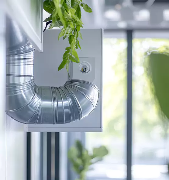 Professional Eco-Safe Dryer Vent Cleaning in Escondido, CA