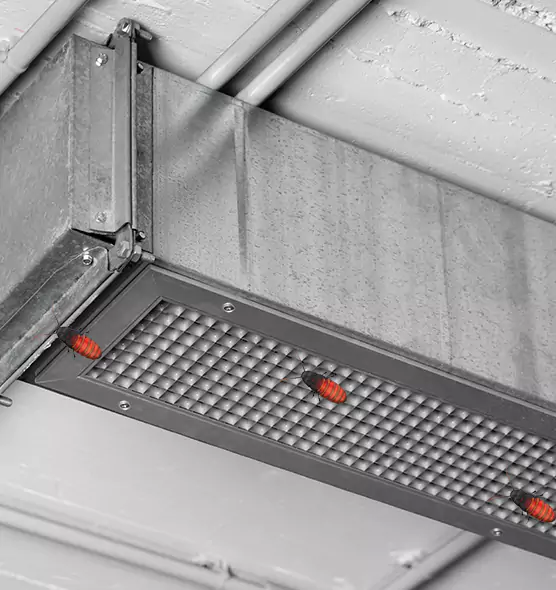 Affordable Insect Removal from Air Ducts in Escondido, CA