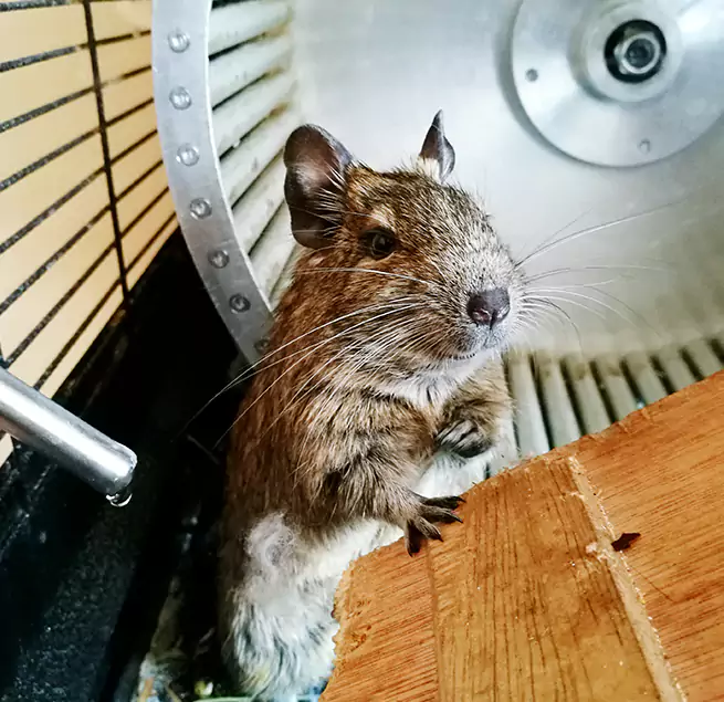 Why Homeowners & Businesses Trust Us Escondido, CA