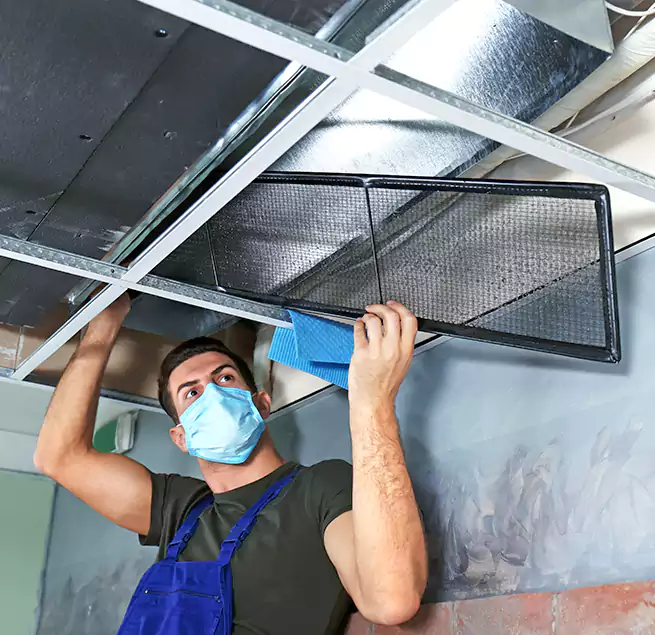 Why Homeowners Businesses Trust Us in Escondido, CA