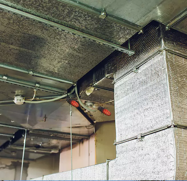 Why Homeowners & Businesses Trust Us Escondido, CA?