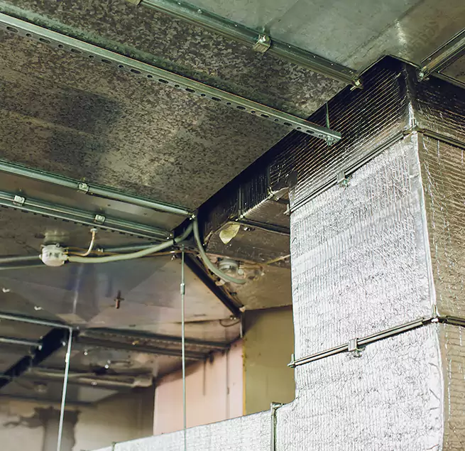 Why Homeowners & Businesses Trust Us in Escondido, CA?